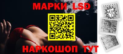 крисы Славгород