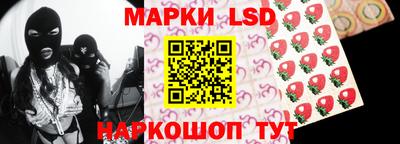 крисы Славгород
