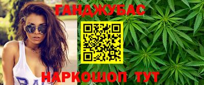 крисы Славгород