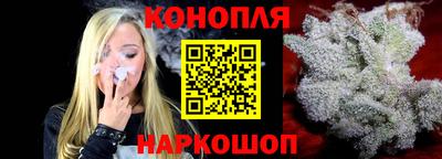 крисы Славгород