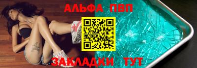 крисы Славгород