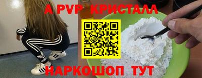крисы Славгород