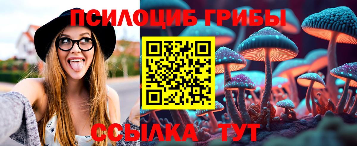 Псилоцибиновые грибы Psilocybe Воронеж