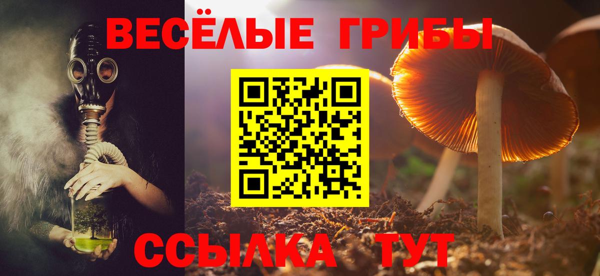 Галлюциногенные грибы прущие грибы  Вход с VPN  Воронеж  купить закладку  Псилоцибиновые грибы Magic Shrooms 